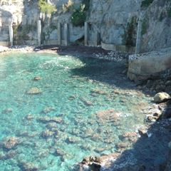 sos-vanda-photo-11